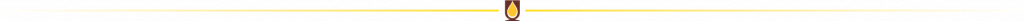 Seperator_Web